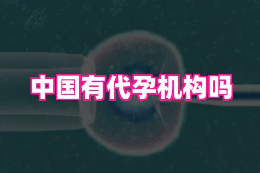 河南助孕网站 1
