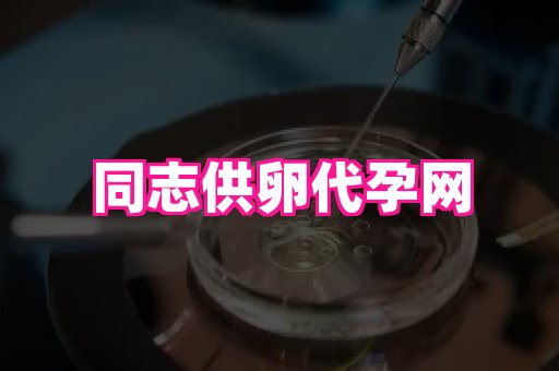 河南助孕网站 2