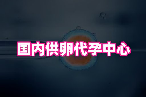 河南助孕网站 4